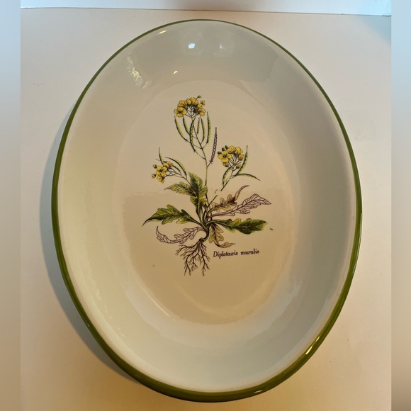 Vintage Italian Large Ceramic Bowl/Platter Featuring a Botanical Illustration - Picture 9 of 9
